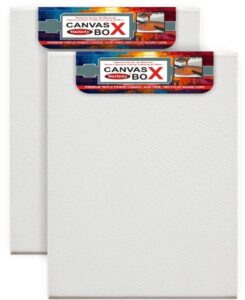 CANVAS BOX 10 X 12 INCH MRP 210 (RACK G2I4)