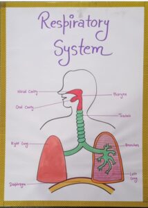 RESPIRATORY SYSTEM MRP RS 250 (RACK G3K3)