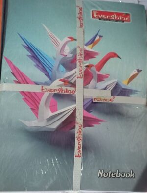 EVERSHINE NOTEBOOK 3 IN 1 MRP RS 65