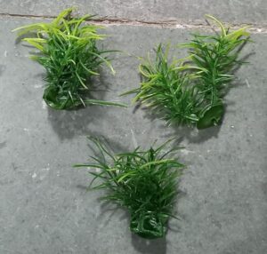__SMALL BUSH MRP RS 10 (PLASTIC BOX 1)