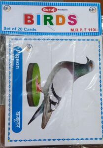 __////FLASH CARD BIRDS MRP RS 110 (BOX -1)