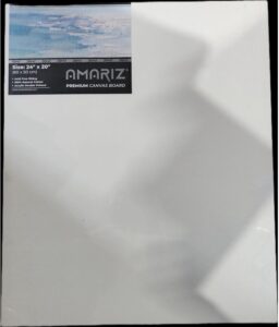 DOMS AMARIZ CANVAS 24 X 20 MRP RS 380