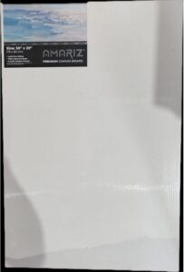 DOMS AMARIZ CANVAS 30 X 20 MRP RS 480