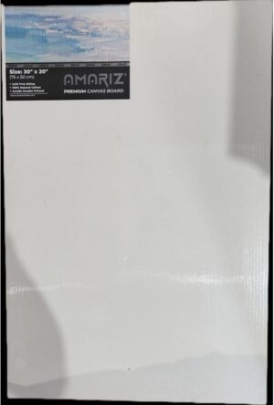 DOMS AMARIZ CANVAS 30 X 20 MRP RS 480