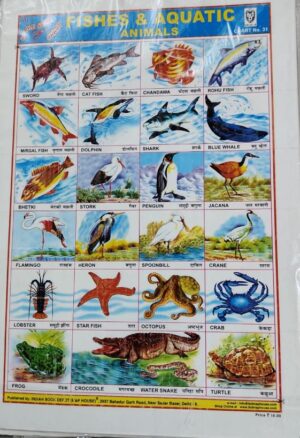 STICKER CHART FISHES AND AQUATIC ANIMALS (NO 31) MRP RS 10