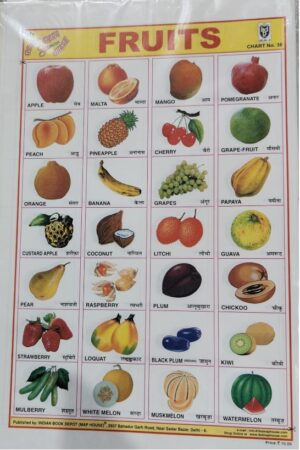 STICKER CHART FRUIT (NO 36) MRP RS 10