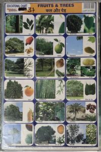 STICKER CHART (NO. 37) FRUITS AND TREES MRP RS 10