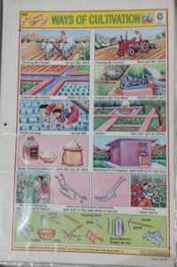 STICKER CHART WAYS OF CULTIVATION (NO 99) MRP RS 10