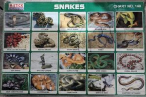 STICKER CHART SNAKES (NO 140) MRP RS 10