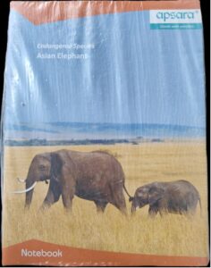 APSARA 3 IN 1 NOTEBOOK MRP RS 45