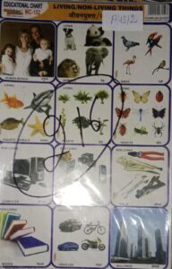 LIVING OR NON LIVING STICKER CHART NO 216 MRP10
