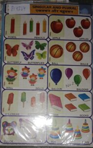 SINGULAR AND PLURAL STICKER CHART NO 258 MRP 10