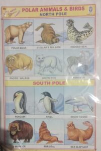 POLAR ANIMALS AND BIRDS NORTH POLE STICKER CHART NO 155 MRP 10