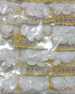 __ WHITE SEA SHELLS HANGING ON ART N CRAFT ROOM