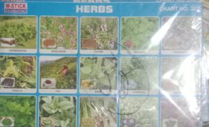HERBS STICKER CHART NO 132 MRP 10