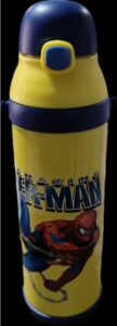 VACUUM WATER BOTTLE PIXEL MRP RS 705